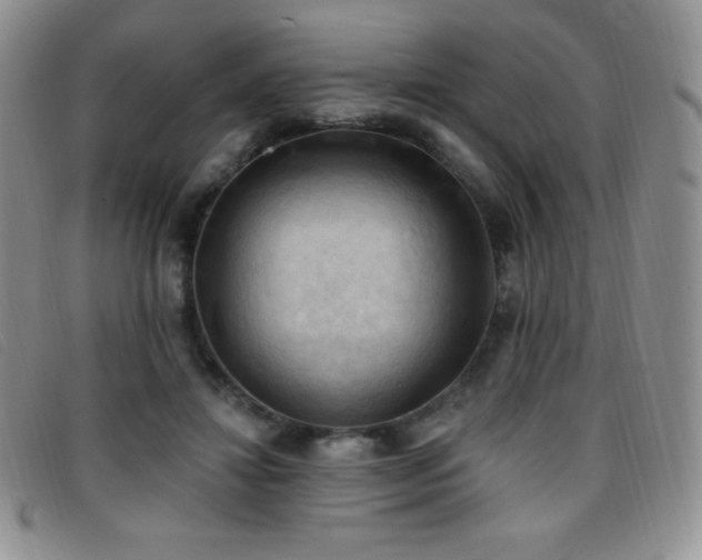 X0000096680452200802051250