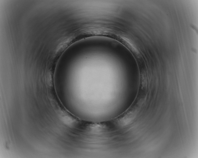 X0000096680453200802051250