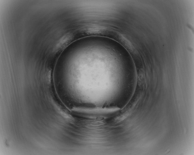 X0000096680454200802051250