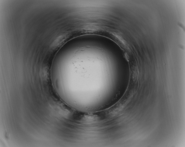 X0000096680455200802051250