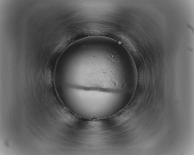 X0000096680457200802051250