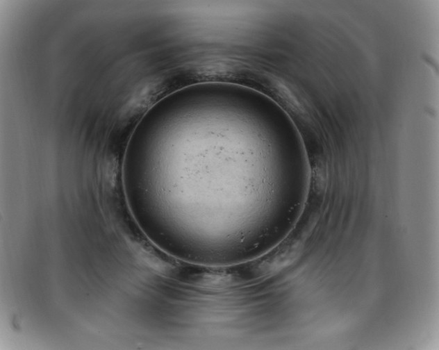 X0000096680458200802051250