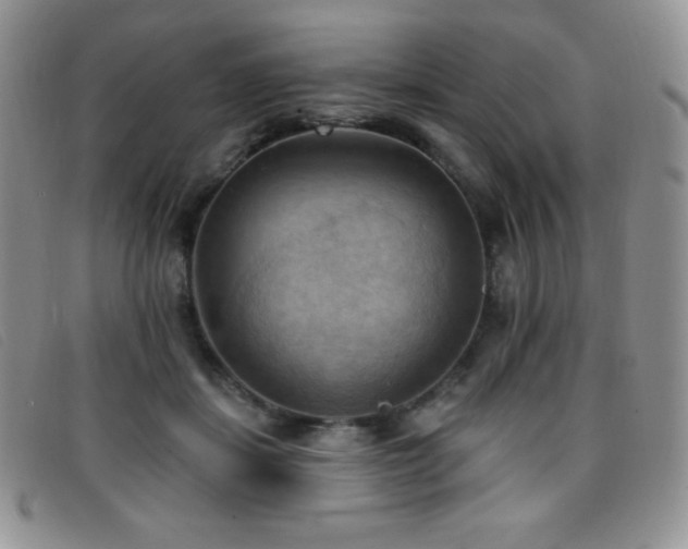 X0000096680459200802051250