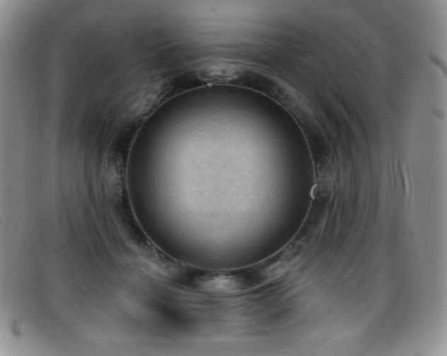 X0000096680460200802051250