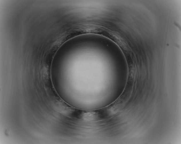 X0000096680461200802051250
