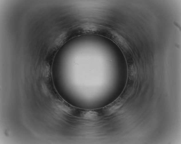 X0000096680463200802051250