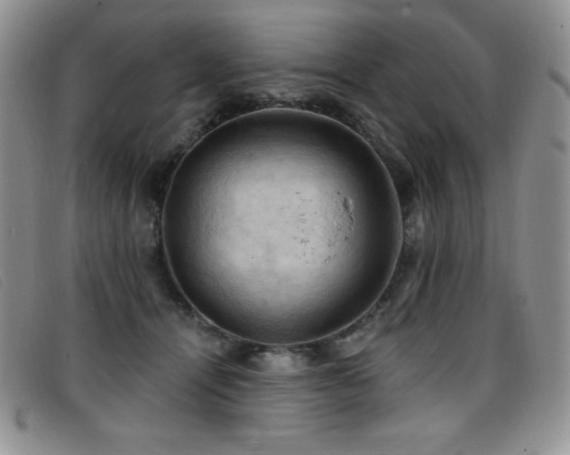 X0000096680464200802051250