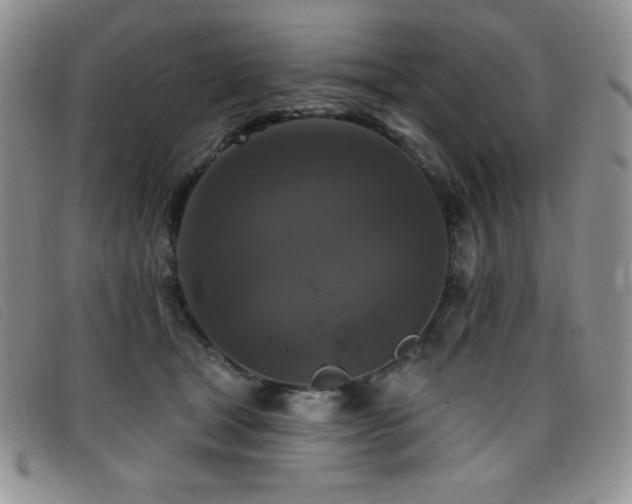 X0000096680465200802051250