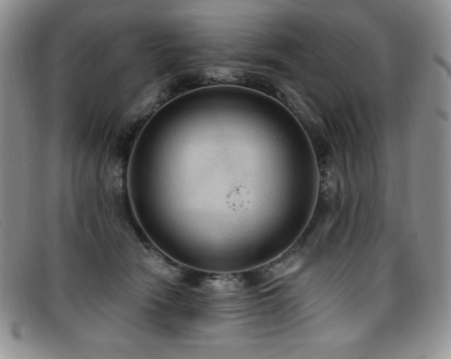 X0000096680466200802051250