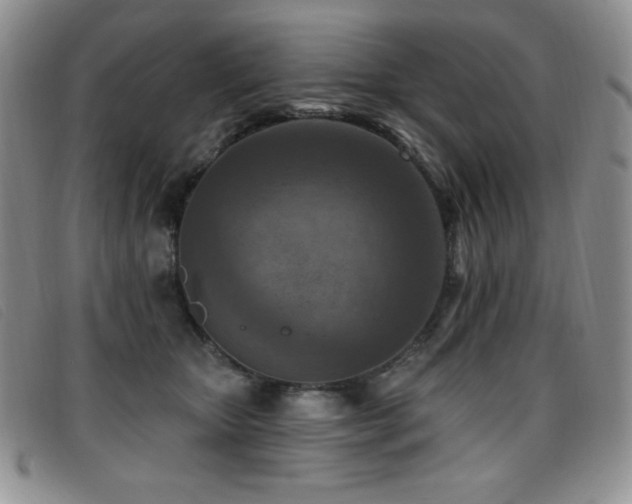 X0000096680467200802051250