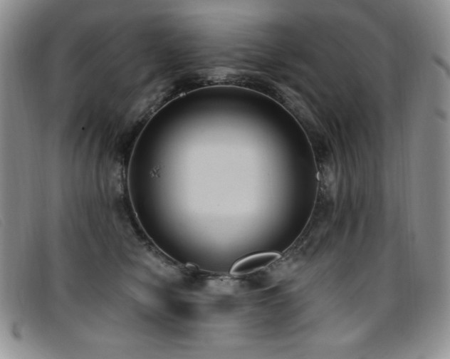 X0000096680470200802051250