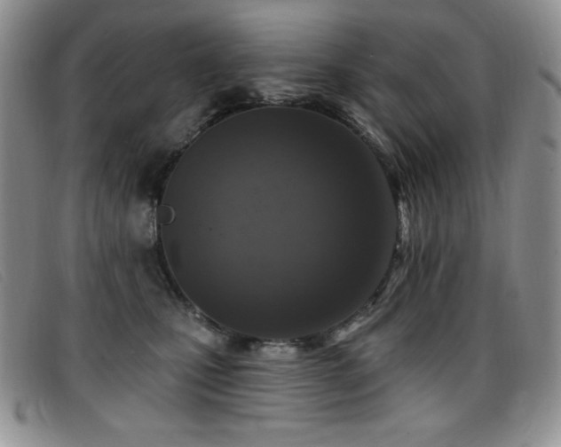 X0000096680471200802051250