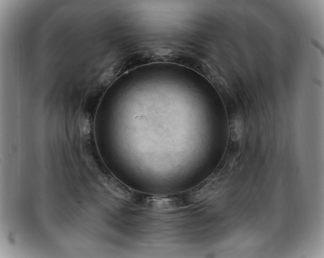 X0000096680472200802051250