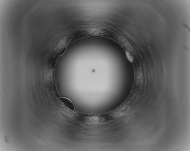 X0000096680473200802051250