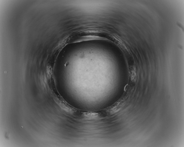 X0000096680476200802051250