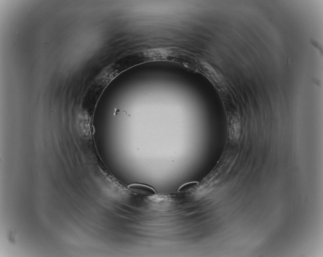 X0000096680477200802051250