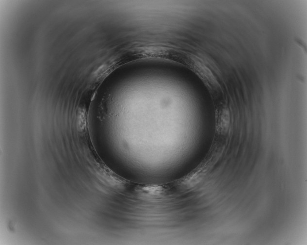 X0000096680478200802051250