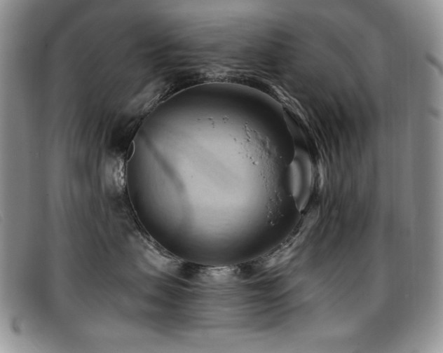 X0000096680479200802051250