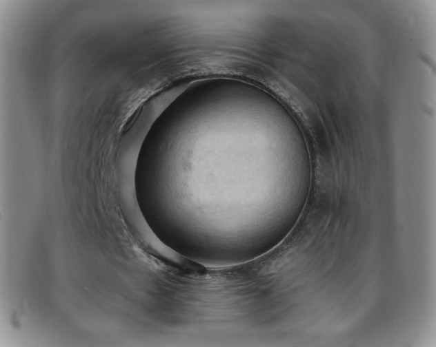 X0000096680481200802051249