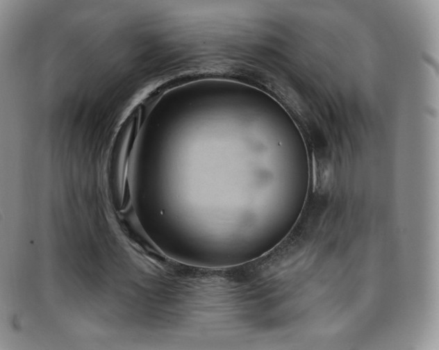 X0000096680483200802051249