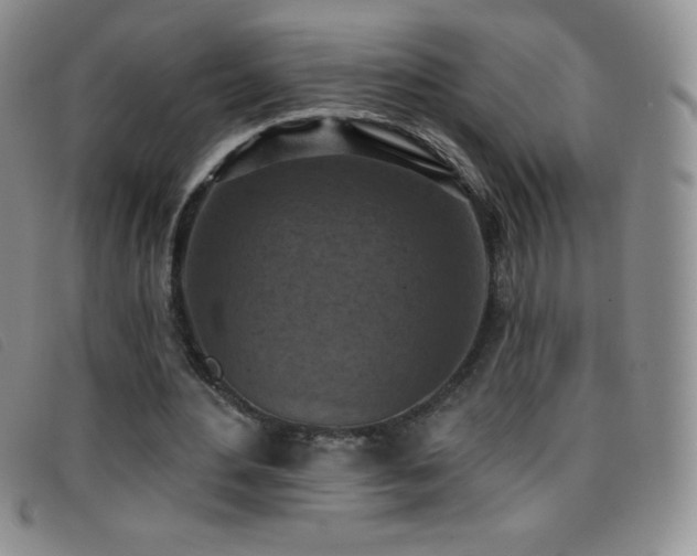 X0000096680484200802051249