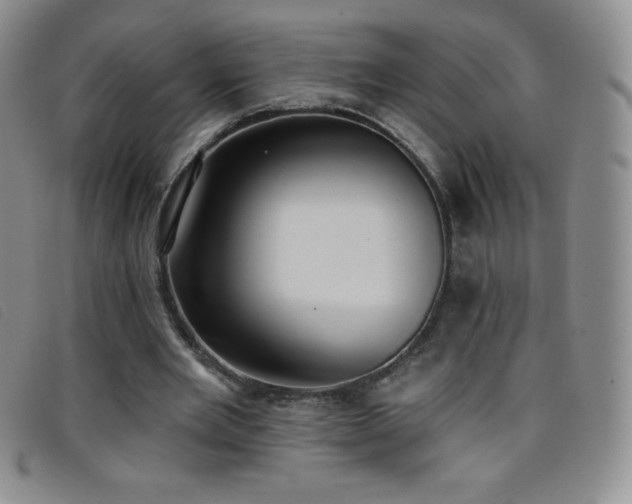 X0000096680485200802051249