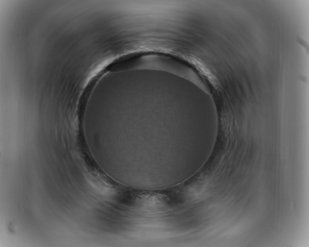 X0000096680488200802051249