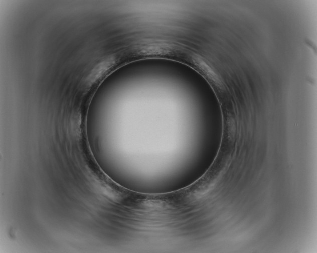 X0000096680490200802051249