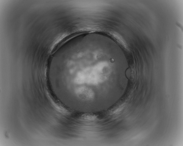 X0000096680491200802051249