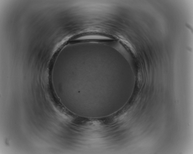 X0000096680492200802051249