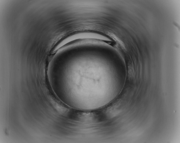 X0000096680493200802051249