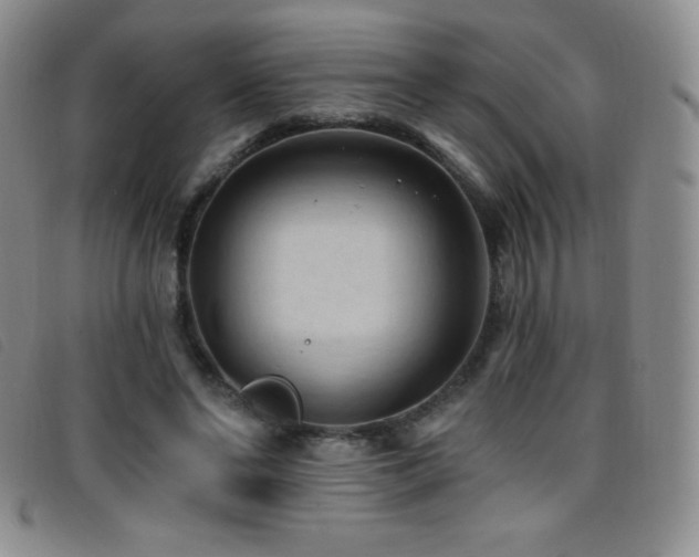 X0000096680494200802051249
