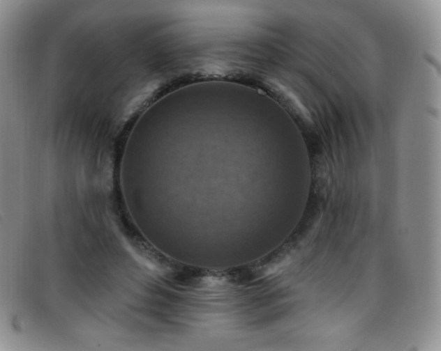 X0000096680496200802051249