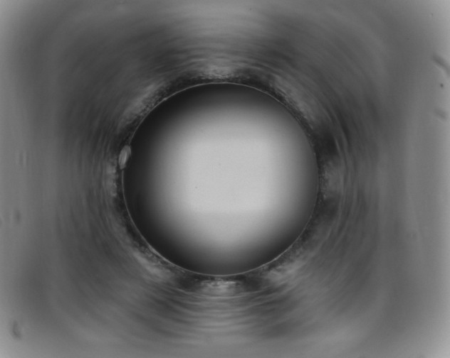 X0000096680497200802051249