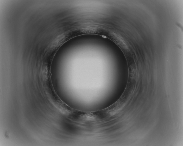 X0000096680498200802051249
