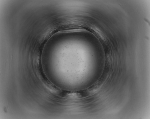 X0000096680499200802051249