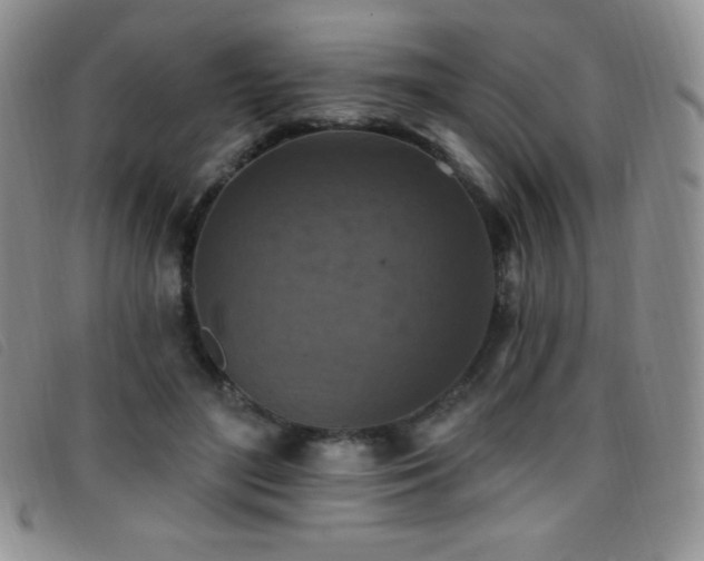 X0000096680500200802051249