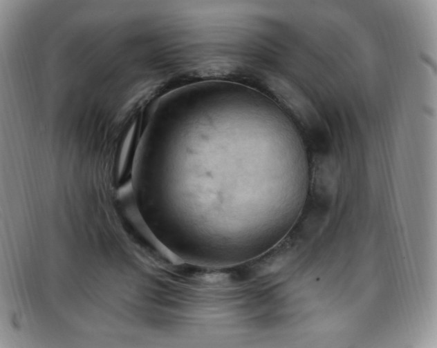 X0000096680501200802051249