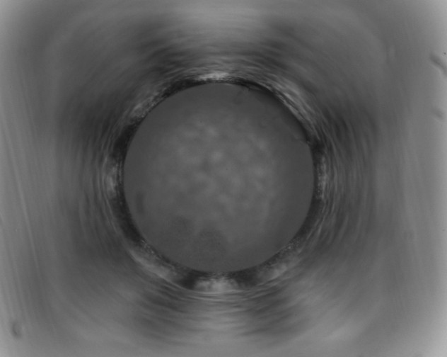 X0000096680503200802051249