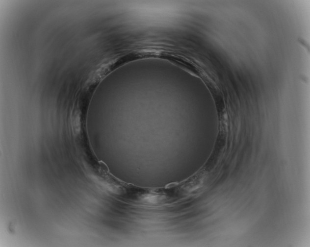 X0000096680504200802051249
