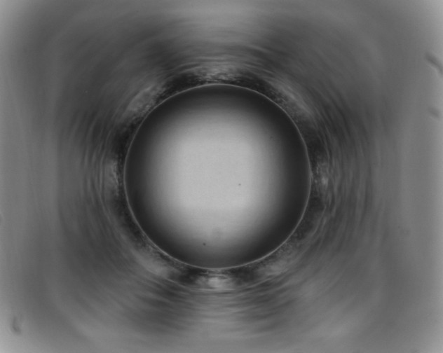 X0000096680506200802051249