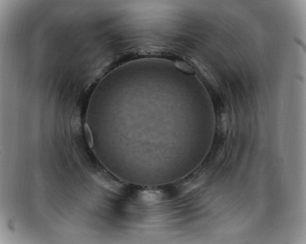 X0000096680508200802051249