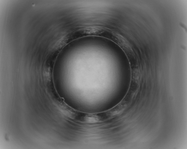 X0000096680510200802051249