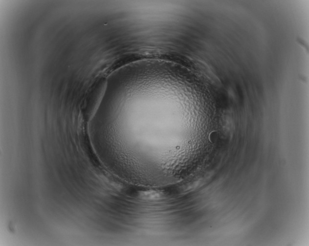 X0000096680511200802051249