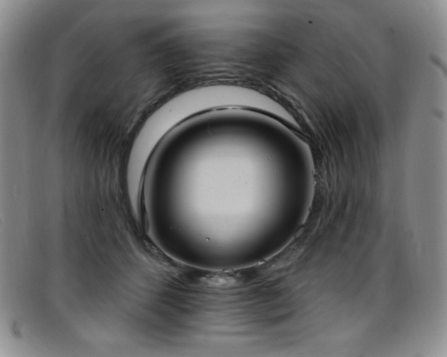 X0000096680512200802051249