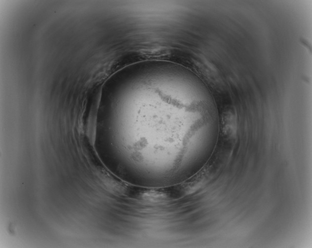 X0000096680515200802051249