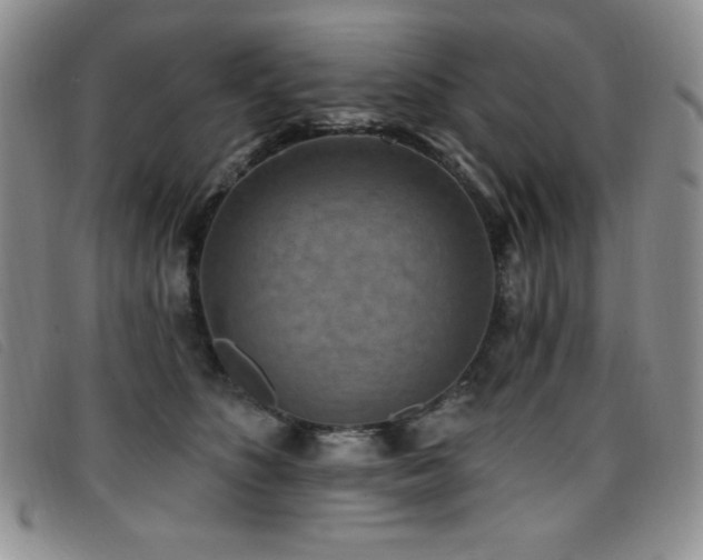 X0000096680516200802051249