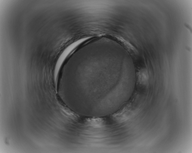 X0000096680517200802051249
