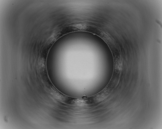 X0000096680518200802051249