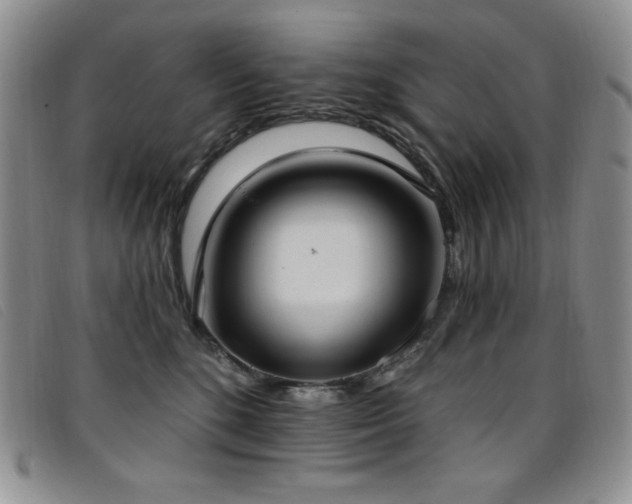X0000096680520200802051249